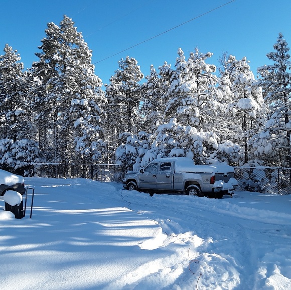 Meet your Posher, M - Picture 1 of 1